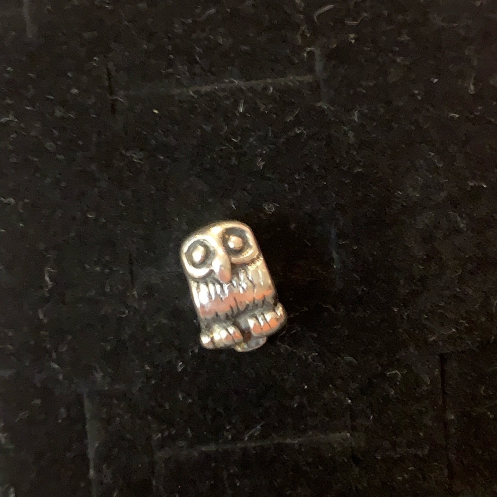 Sterling Silver Owl Charm (Kay Jeweler’s)